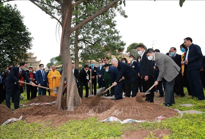 Tổng Bí thư, Chủ tịch nước Nguyễn Phú Trọng trồng cây lưu niệm tại Khu Di tích Hoàng Thành Thăng Long. Ảnh: TTXVN