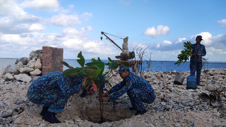 Quân dân đảo Trường Sa Đông trồng cây ngày đầu năm mới. Ảnh:Vũ Bằng