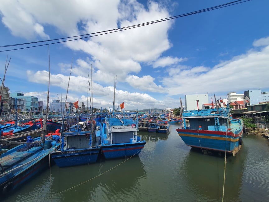 Tàu cá của ngư dân thị xã Hoài Nhơn đang đậu tại cảng. Ảnh: N.T