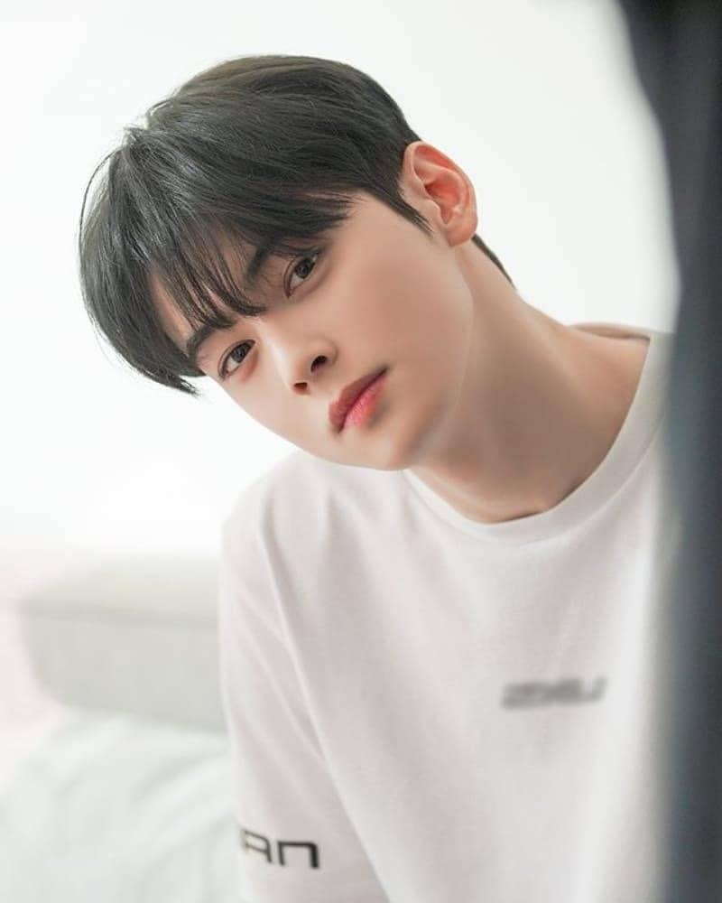 Cha Eun Woo Astro Kh ng p l c khi ng