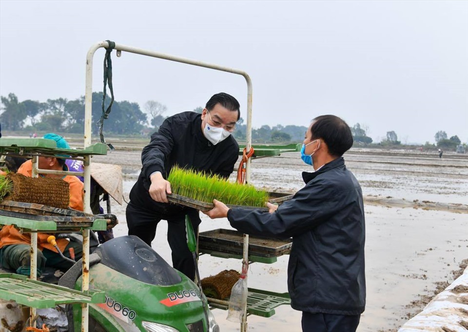 Chủ tịch UBND thành phố Chu Ngọc Anh đứng máy cấy, động viên nông dân xã Dị Nậu, huyện Thạch Thất sản xuất đầu năm.