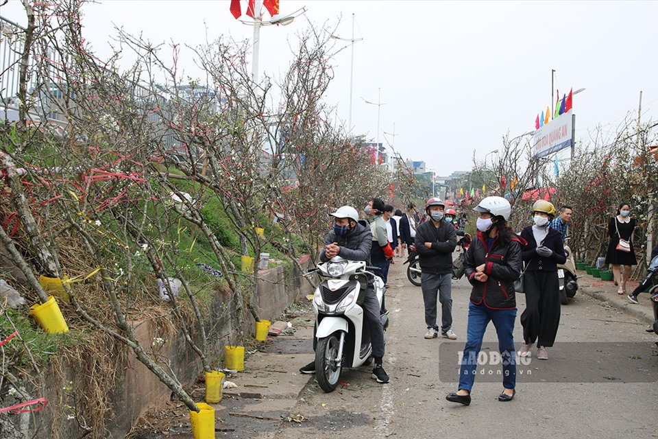 Những ngày này, dọc chợ hoa Quảng Bá, rất đông người dân đến xem và mua cho gia đình những cành hoa lê đẹp nhất. Ảnh: KA