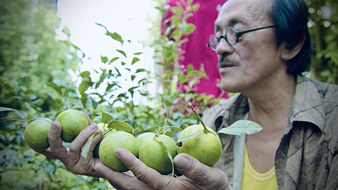 Nam nghệ sĩ tự trồng được cây chanh quả mọng trong chậu. Vì đam mê trồng trọt, nghệ sĩ Giang Còi đã học hỏi rất nhiều kinh nghiệm làm vườn từ các lão nông dân tri điền, bắt đầu làm vườn từ những năm 2000.