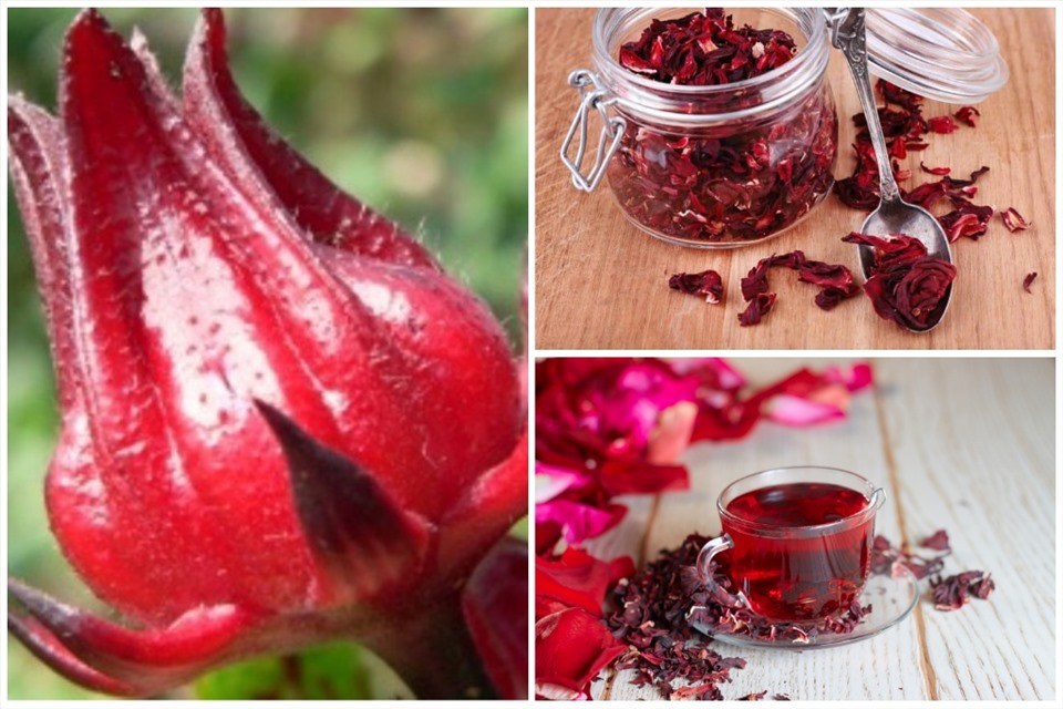 Cách pha trà Hoa Atiso đỏ (Hibiscus) cả nhà khen ngon