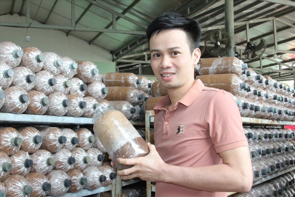 2 cơ sở sản xuất phôi nấm ở TP.HCM và Bình Định của anh Nguyễn Xuân Truyện đạt doanh thu trên 10 tỉ đồng/năm. Ảnh: T.X