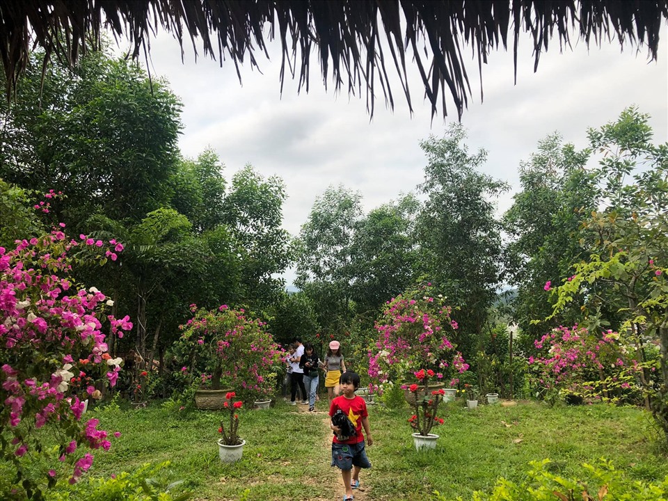 Nếu có dịp đi dọc đường Hồ Chí Minh nhánh Đông, du khách không thể một lần không ghé chơi Thung Dó ở làng Khương Hà, xã Hưng Trạch, huyện Bố Trạch, Quảng Bình. Thung Dó nằm trên ngọn đồi cao, hướng ra một hồ nước xanh trong, phẳng lặng