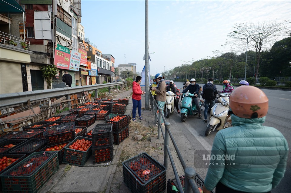 Hàng chục tấn nông sản cùa bà con Hải Dương, Hải Phòng đã được tiêu thụ nhanh chóng tại Hà Nội với giá rẻ nhằm góp phần ủng hộ bà con nông dân vùng dịch.