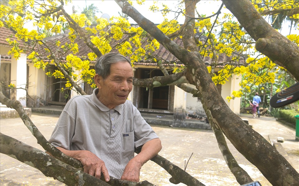 Ông Đồng Viết Mão (82 tuổi) cho hay: Ngôi nhà cổ làm bằng gỗ mít được xây dựng cách đây khoảng 150 năm. Gia đình tôi rất vui khi hằng ngày tiếp hàng chục du khách đến tham quan nhà cổ và chụp ảnh cây mai.