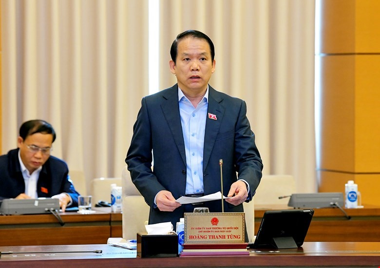 Chủ nhiệm Uỷ ban Pháp luật Hoàng Thanh Tùng trình bày báo cáo thẩm tra. Ảnh QH