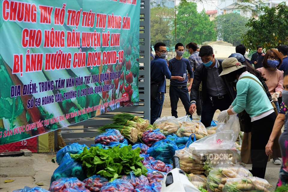 Người dân Hà Nội tích cực giải cứu nông sản huyện Mê Linh.