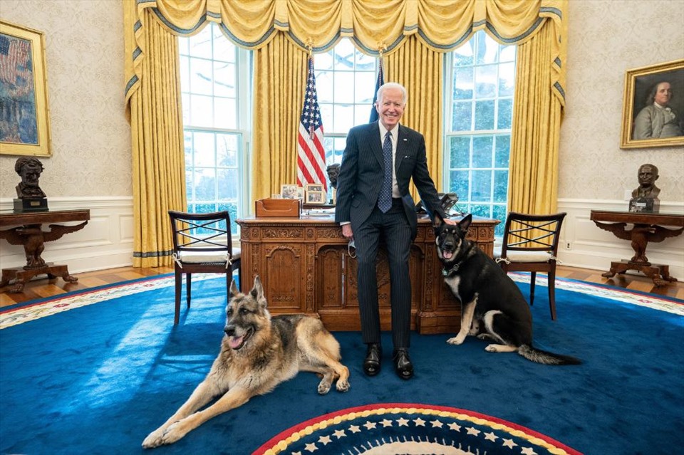 Bức ảnh Tổng thống Joe Biden chụp cùng hai chú chó cưng nhận được sự thích thú của hàng triệu người dùng mạng xã hội. Ảnh: Twitter POTUS