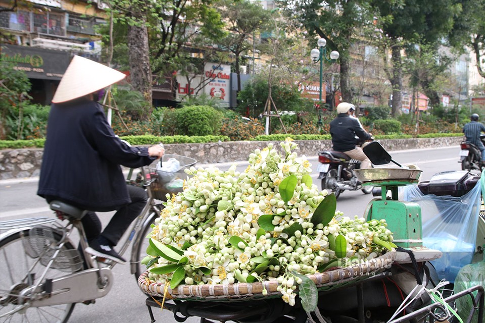 Những gánh hàng rong chở hoa bưởi trắng muốt tỏa hương thơm dịu làm nên nét chấm phá rất riêng cho Hà Nội. Ảnh: Kim Anh