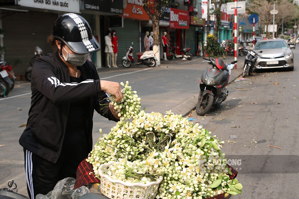 Những ngày này, nhiều khách hàng lựa chọn mua hoa bưởi về chơi Rằm tháng Giêng. Ảnh: Kim Anh