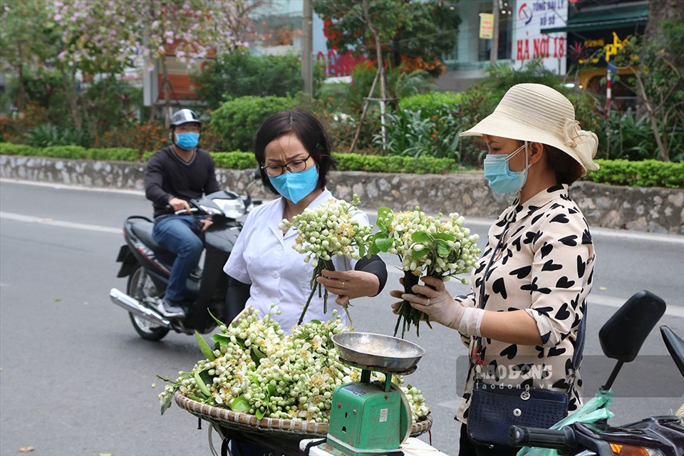 Chị Yến tỉ mỉ lựa chọn cành hoa bưởi về cúng Rằm tháng Giêng.