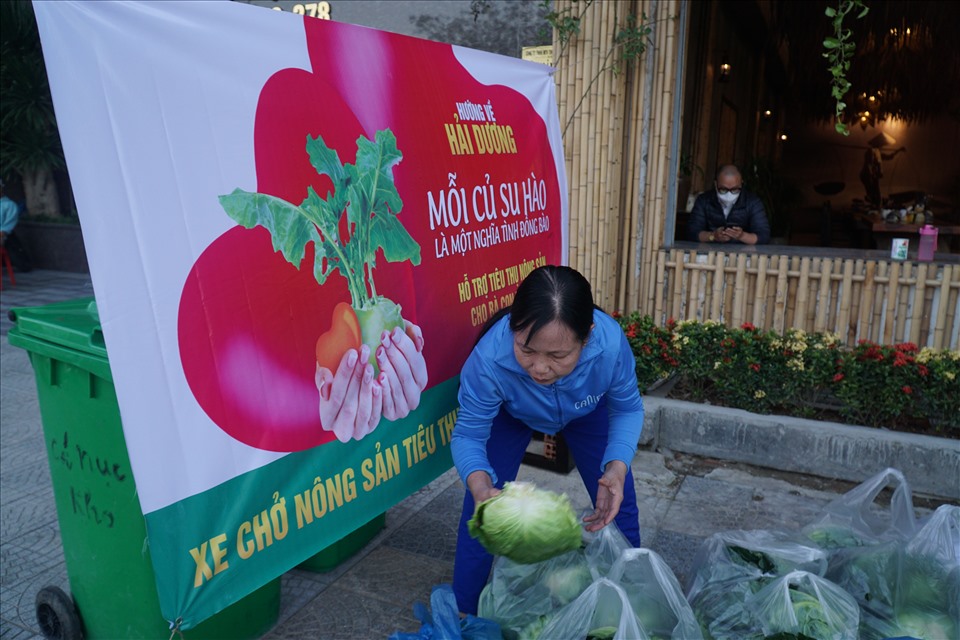 Trước tình trạng trên, nhằm hỗ trợ người dân tỉnh Hải Dương vượt qua khó khăn, một nhóm thiện nguyện tại Đà Nẵng đã kết nối với các hợp tác xã nông nghiệp để thu mua nông sản, rồi chuyển về các điểm “giải cứu” tại thành phố sông Hàn