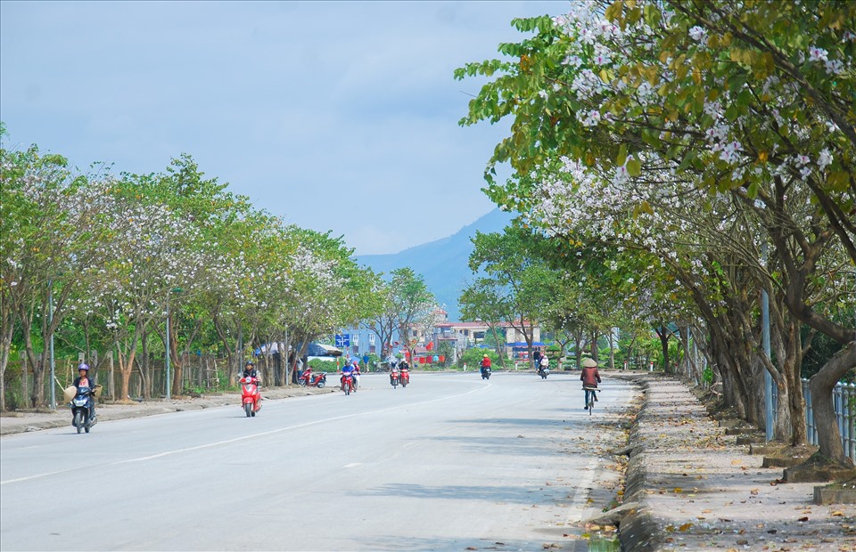Ở thành phố Điện Biên Phủ có những tuyến phố được nhiều người gọi là “đường hoa Ban”