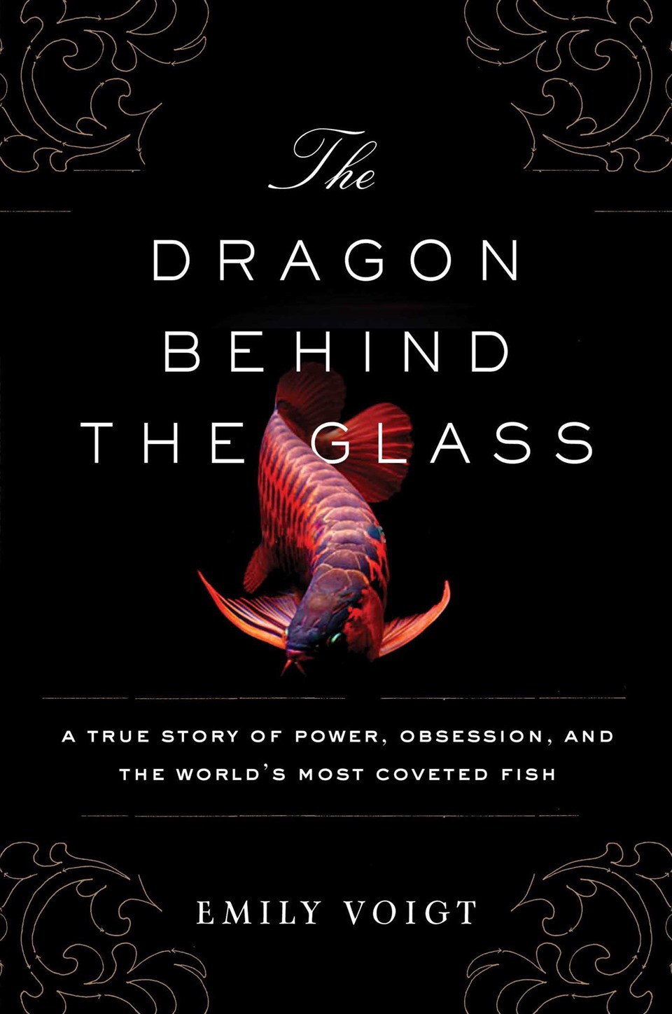 Cuốn sách “The Dragon Behind the Glass” của Emily Voigt nói về hoạt động  nuôi và bán cá rồng. Ảnh AFP