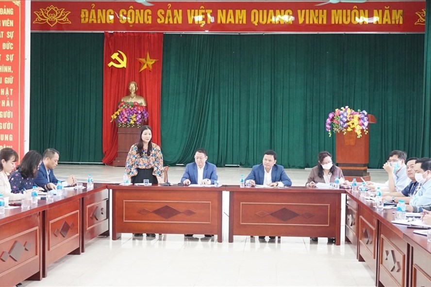 Bà Trần Thị Phương Lan phát biểu tại buổi làm việc. Ảnh: Nguyên Hợp