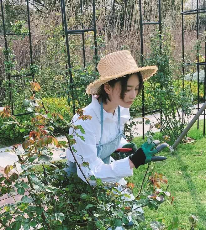 Đầu năm 2019, diễn viên họ Trương sinh con gái đầu lòng. Cô cũng dành toàn bộ thời gian để tự nấu ăn, trồng rau và chăm sóc tổ ấm nhỏ. Ảnh: Weibo.