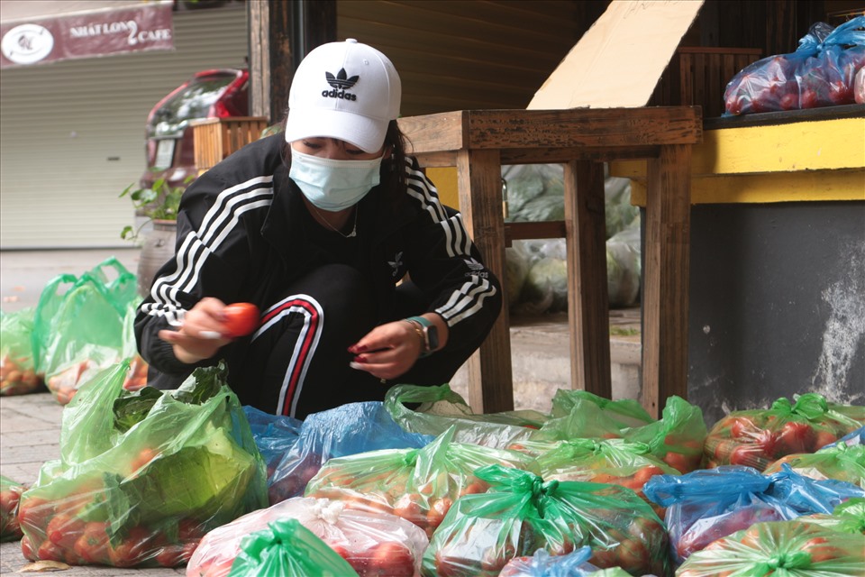 Tại điểm Cỏ Coffee (TT 17, Khu đô thị Văn Phú, Q. Hà Đông, Hà Nội) cô Nhu đang nhặt bỏ những quả cà chua hư, dập