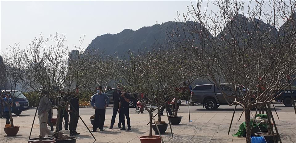 Chiều qua -2.2, người dân đã bắt đầu đi mua sắm hoa về chơi Tết. Ảnh: Nguyễn Hùng