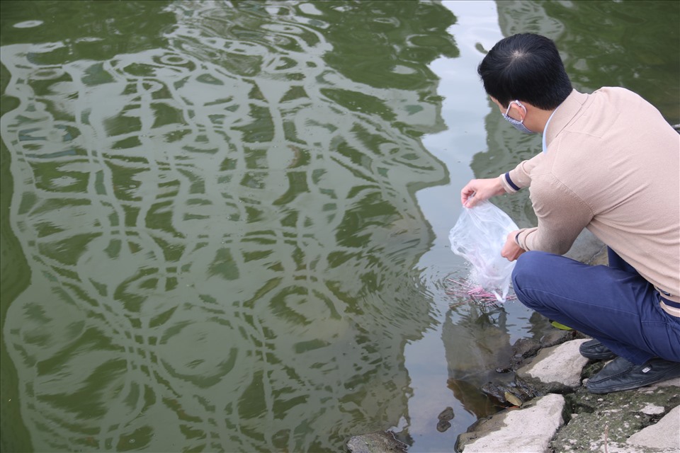 Tuy nhiên, sau khi thả cá vàng một vài người dân vẫn giữ thói quen rắc cả tro vàng, hương xuống dưới hồ gây ô nhiễm nguồn nước.