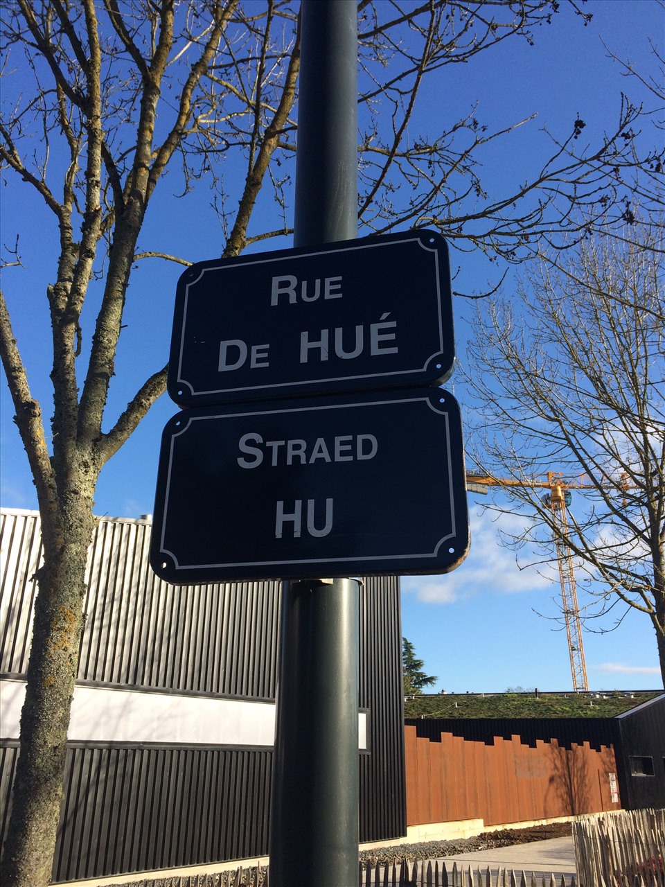 Ảnh: Nguyễn Văn Tèo