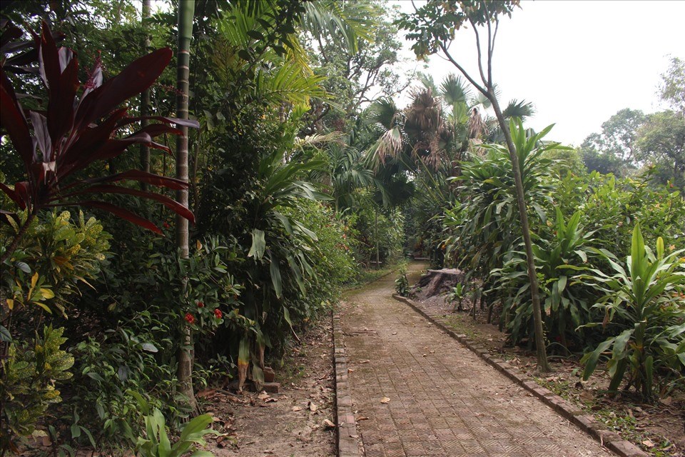 Khuôn viên dẫn vào ngôi nhà của cụ Nguyễn Khuyến.