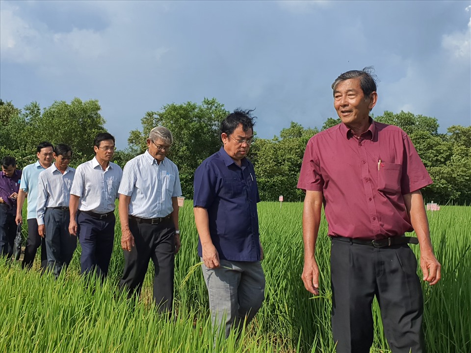 AHLĐ Hồ Quang Cua cùng đoàn khách tham quan cơ sở sản xuất gống lúa thơm ST tại trang trại Hồ Quang, Sóc Trăng. Ảnh: Nhật Hồ