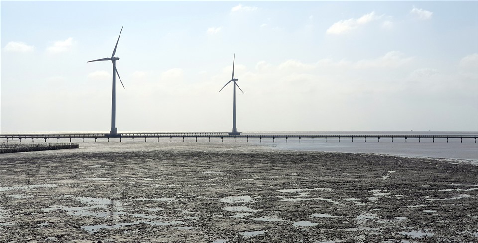 Điện gió vực dậy vùng đất bãi bồi ven biển các tỉnh ĐBSCL. Ảnh: Nhật Hồ