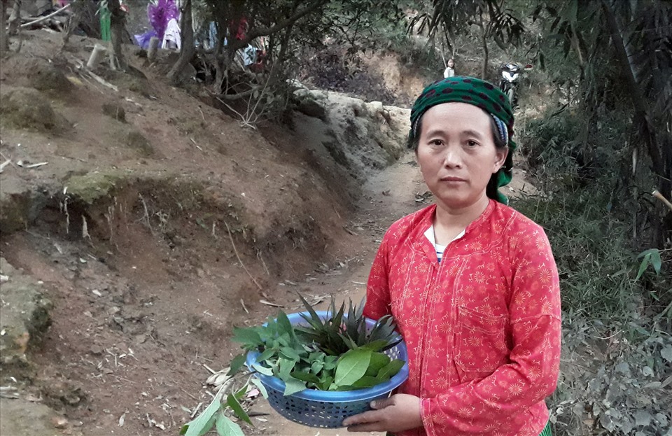 Bà Hà Thị Nở nhanh tay hái lá trong vườn để chuẩn bị nồi nước xông bàn thờ.