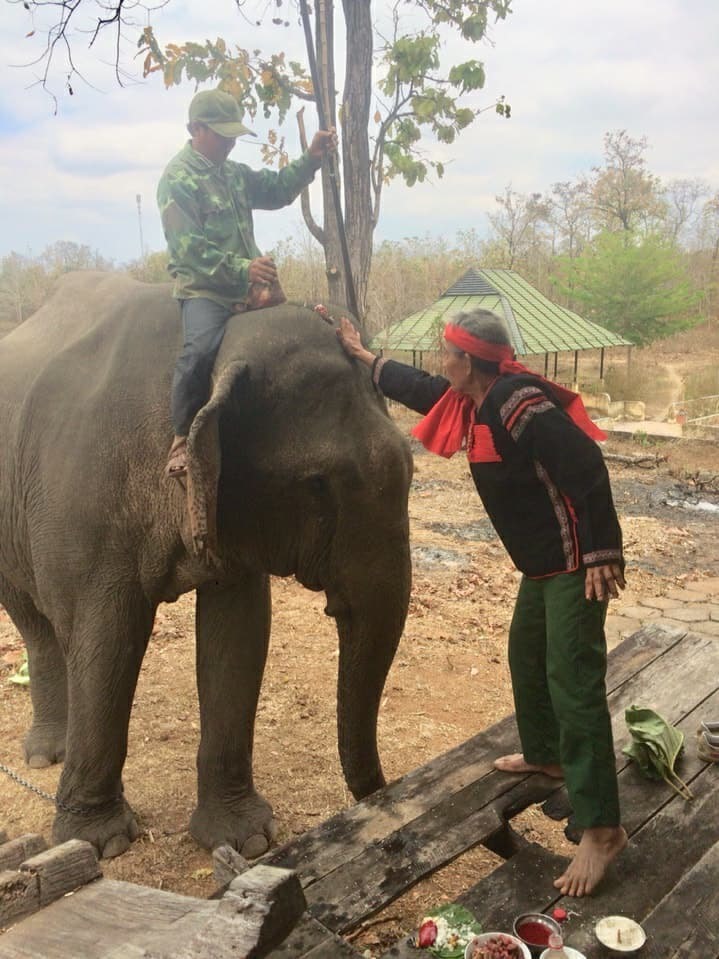 Tập tục cúng voi của người dân tại huyện huyện Lắk, Buôn Đôn được tổ chức từ bao đời nay.