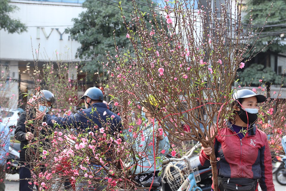 Hoa đào- loài hoa được rất nhiều người dân Việt Nam yêu thích đang được bày bán ở tất cả các chợ hoa xuân.