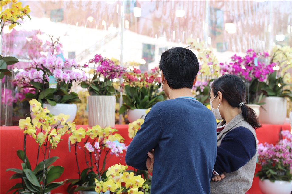 Tuy nhiên, dù giá đã giảm sâu, nhưng người đến xem và mua lan không nhiều.