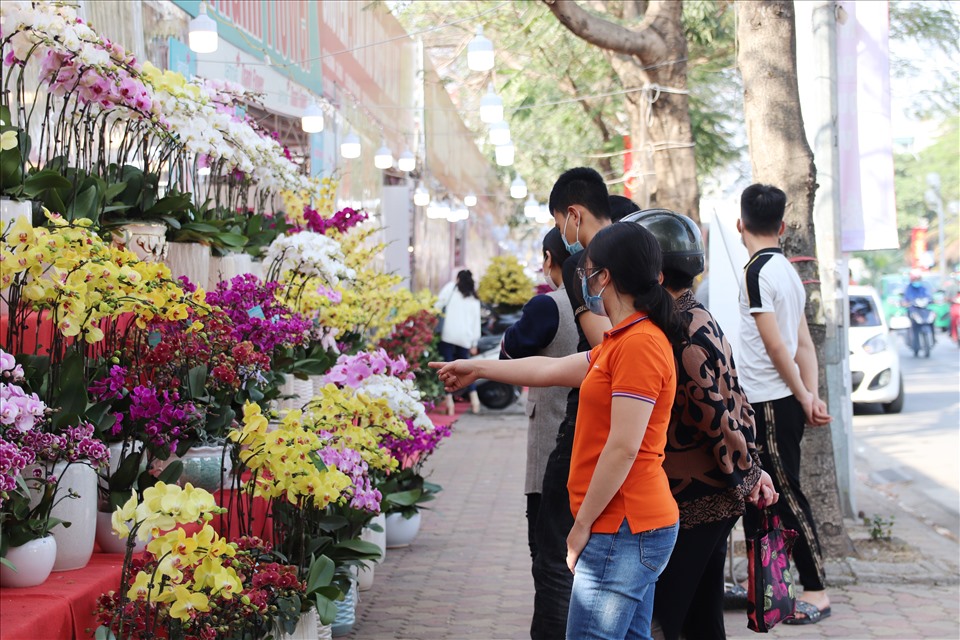 Thậm chí trưng bày một số mẫu lan đại hạ giá trên vỉa hè để người đi qua có thể chiêm ngưỡng vẻ đẹp của các loại hoa lan.