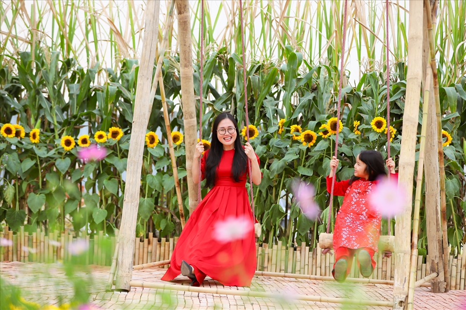 Tết trong tâm thức của người Việt không thể thiếu những sắc hoa rực rỡ