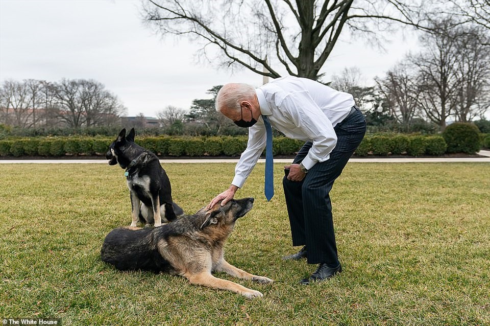 Tổng thống Joe Biden chơi đùa với 2 chú chó cưng. Ảnh: Nhà Trắng
