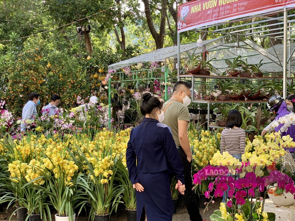 Chị Phạm Phương Thảo (Quận 5, TPHCM) đi mua hoa trưng Tết mà không khỏi xúc động: “Năm nay mọi thứ khó khăn quá, đi ngang chợ hoa mà tôi muốn khóc luôn“.