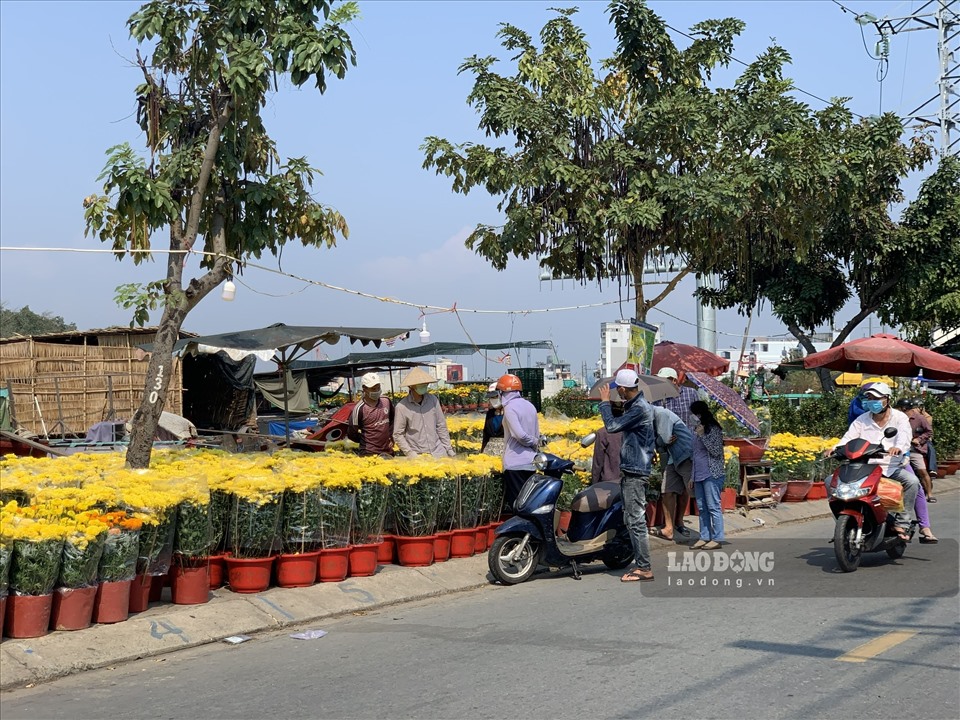 Không chỉ riêng tại chợ hoa 23.9, mà các chợ hoa khác cũng đang ở trong tình trạng “trống vắng“, hiu hắt tương tự.