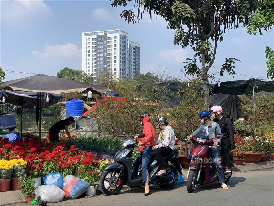 Vào thời điểm này mọi năm, người dân TPHCM thường đổ xô về các chợ hoa Xuân này sắm cây, hoa chơi Tết rất đông.