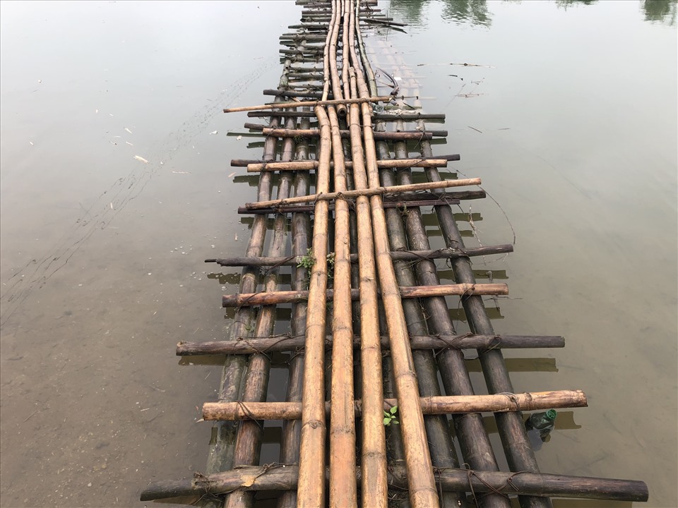 Ngày 1.3, có mặt tại khu vực cây cầu tạm này, theo ghi nhận của PV Báo Lao Động cây cầu tạm dài khoảng 100m làm bằng những đoạn tre, luồng đang nổi trên dòng sông Bưởi thân thương.