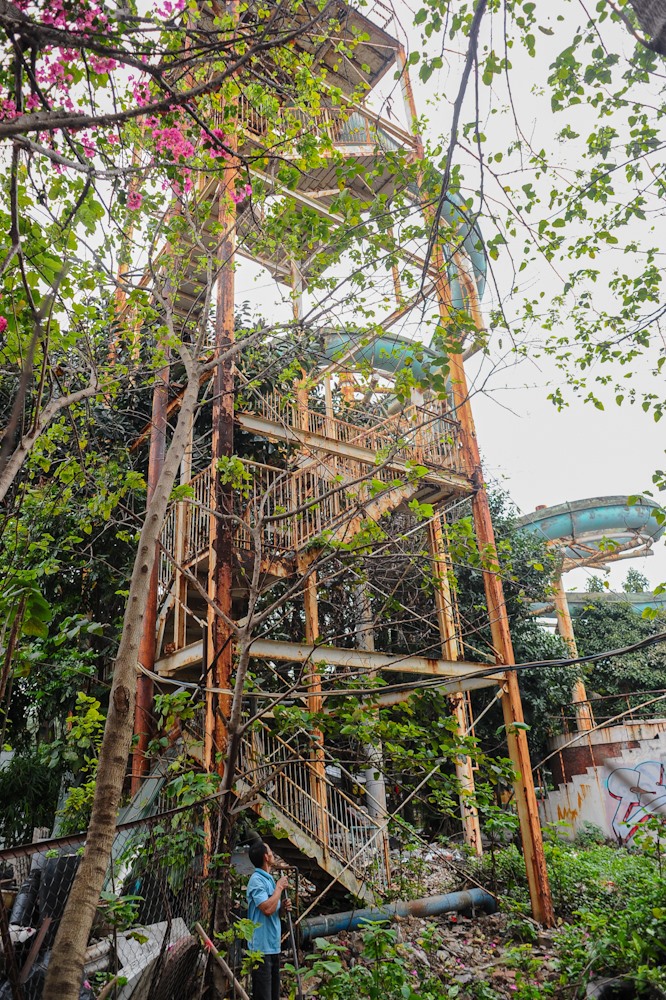Cầu thang lên cầu trượt xuống cấp nghiêm trọng bị cây cối mọc bao quanh. Ảnh TB