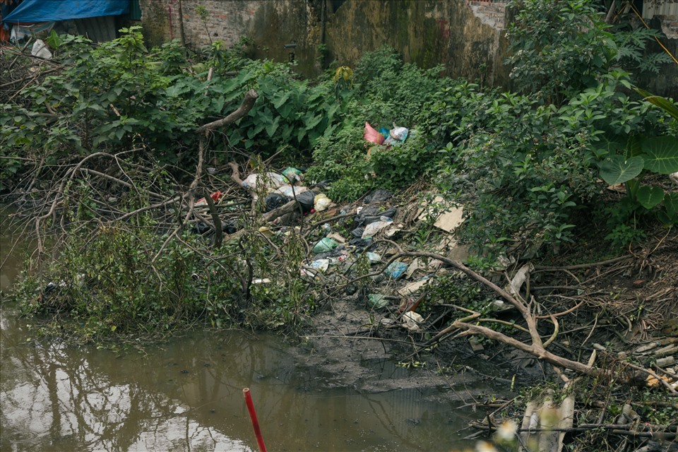Nước ở sông Nhuệ và các ao hồ gần khu xử lý rác đen kịt, bốc mùi tạo điều kiện cho ruồi muỗi phát triển, ảnh hưởng đến sức khỏe và đời sống của người dân xung quanh. Ảnh: Hương Ánh