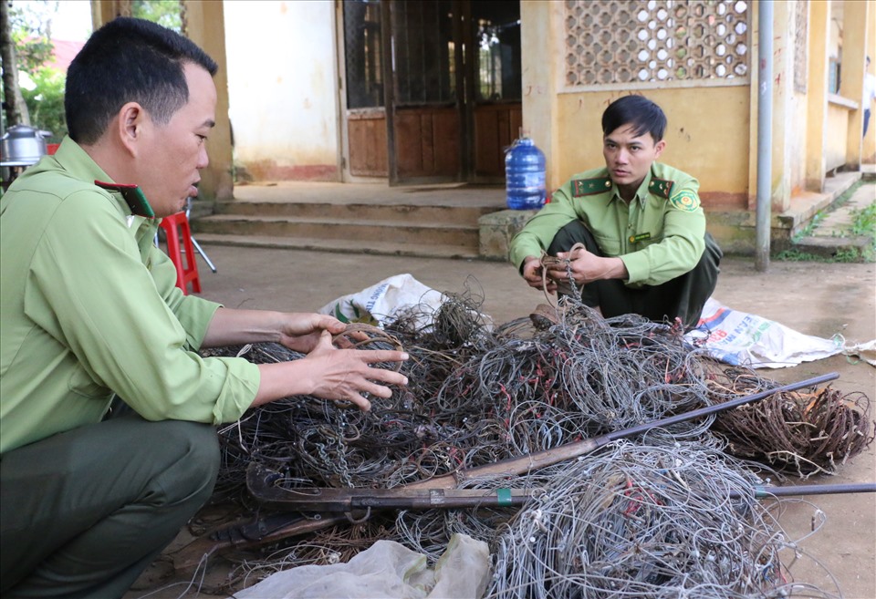 Hàng năm, cán bộ kiểm lâm đã tháo gỡ hàng ngàn chiếc bẩy thú ở trong Vườn quốc gia Tà Đùng. Ảnh:  Đức Hùng