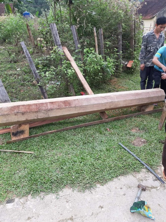 Khúc gỗ dài 5-6m đã được người dân cắt làm đôi. Ảnh: PV