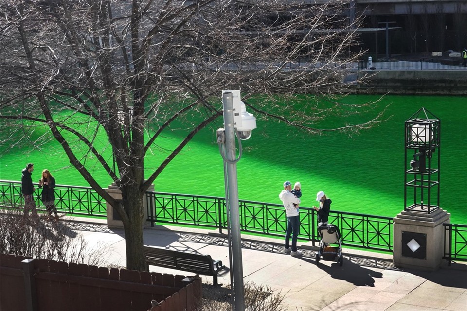 Người dân chiêm dưỡng dòng sông ở Chicago, Mỹ nhuộm xanh ngắt hôm 13.3. Ảnh: AFP/Getty.