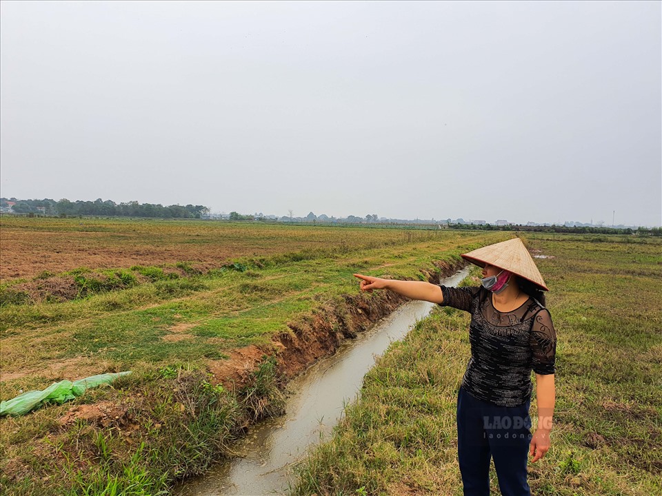 Diện tích lớn ruộng đồng tại Phú Xuân bị bỏ hoang sau thời gian dài nhiều người dân không nhận ruộng. Ảnh: Tuấn Anh