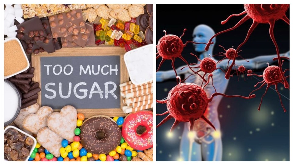 Tiêu thụ quá nhiều đường có thể gây ra các bệnh về tim mạch, béo phì, ung thư và làm suy yếu hệ miễn dịch. Đồ họa: Phạm Công