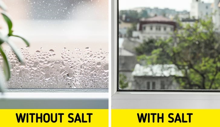 Sử dụng muối mỏ sẽ làm giảm độ ẩm cho ngôi nhà của bạn (Ảnh nguồn: Bright Side)