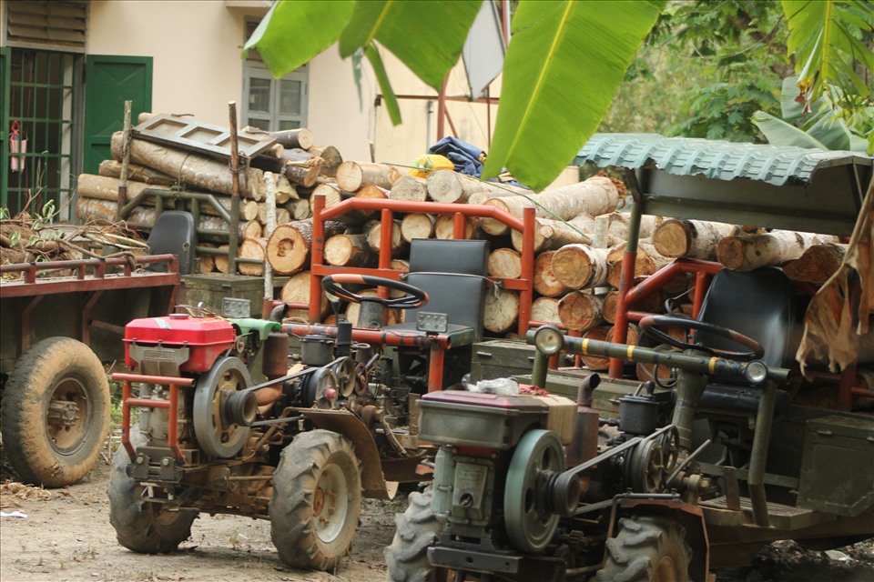 4 xe cày chở nhiều khúc gỗ tròn đang bị tạm giữ tại Ban Quản lý rừng đặc dụng Đray Sáp. Ảnh: Bảo Lâm